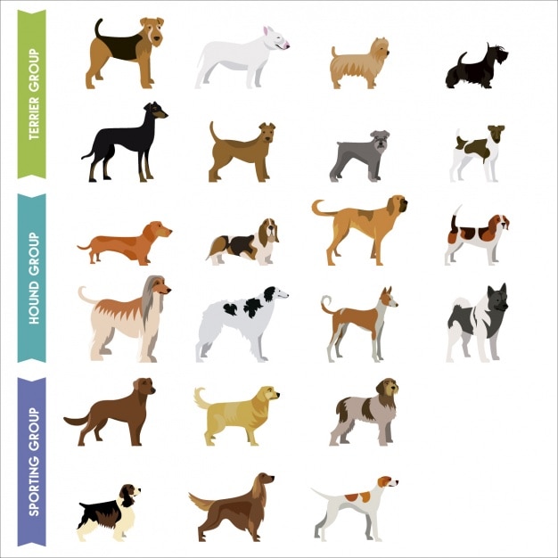 Bezpłatny wektor kolorowa kolekcja psy