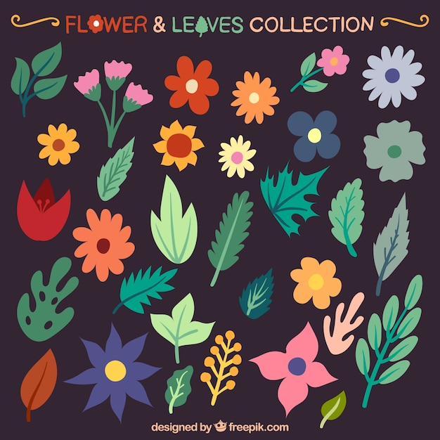 Kolorowe Kwiaty I Liście Kolekcji