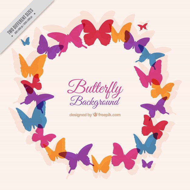 Kolorowe Motyl wieniec tle