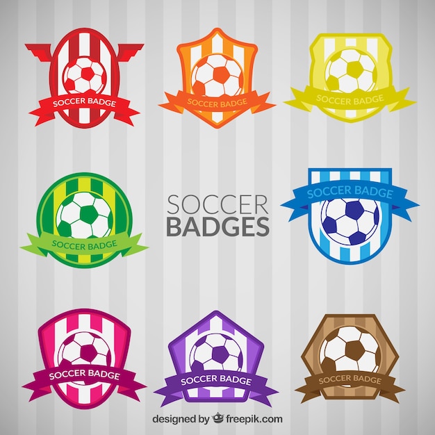 Bezpłatny wektor kolorowe odznaki nożnej