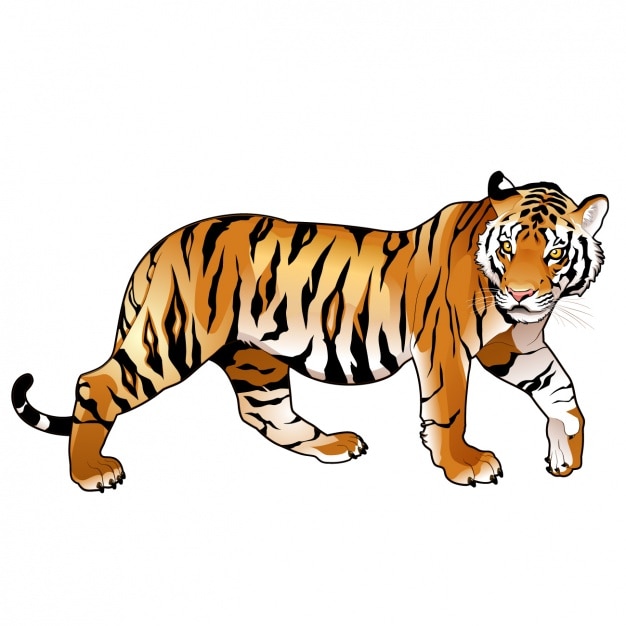 Bezpłatny wektor kolorowy wzór tygrysa