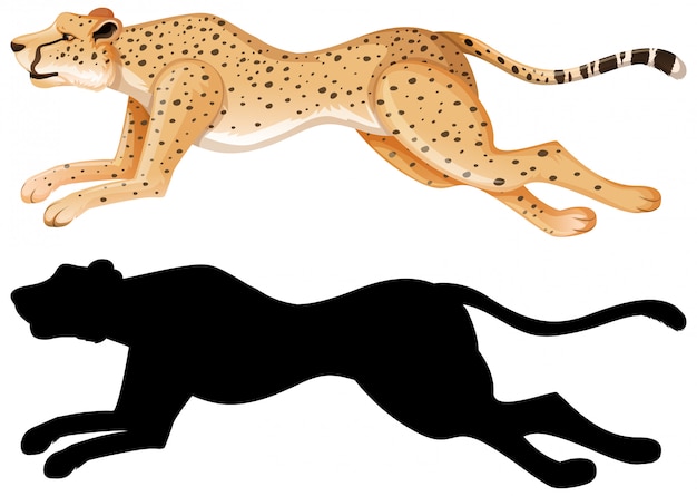 Bezpłatny wektor komplet kreskówka gepard