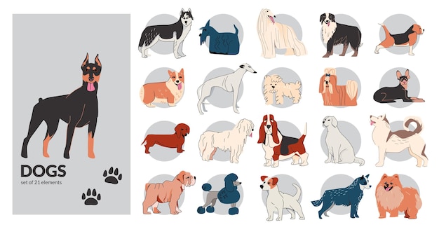 Bezpłatny wektor kontur rysunkowy psa z izolowanymi kompozycjami z różnymi psami i szczeniętami ze śladami i ilustracją wektorową tekstu