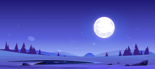 Kreskówka noc natura krajobraz pełni księżyca świeci na niebie z gwiazdami nad polem ze stawem, drzewami iglastymi i skałami. Ciemne niebo z romantycznym tłem fantasy w świetle księżyca, widok wektorowy o zmierzchu o północy