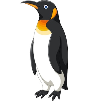 Kreskówka pingwin odizolowywający na białym tle