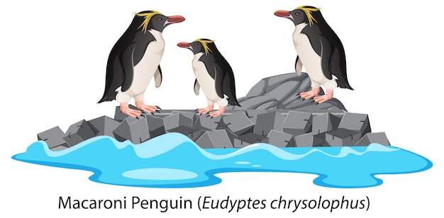 Bezpłatny wektor kreskówka pingwina makaronu na skale