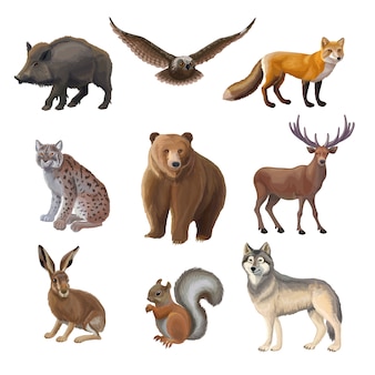 Kreskówka zestaw zwierząt leśnych