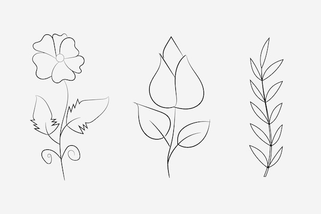 Kwiatowa ilustracja kwiat line art set ilustracja wektorowa lub kwiatowy wzór tła