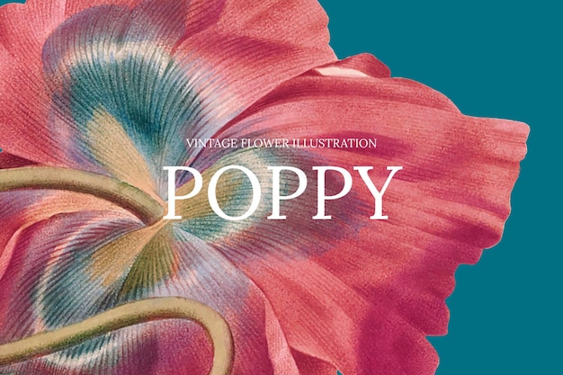 Kwiatowy szablon banera internetowego z makowym tłem, zremiksowany z dzieł z domeny publicznej