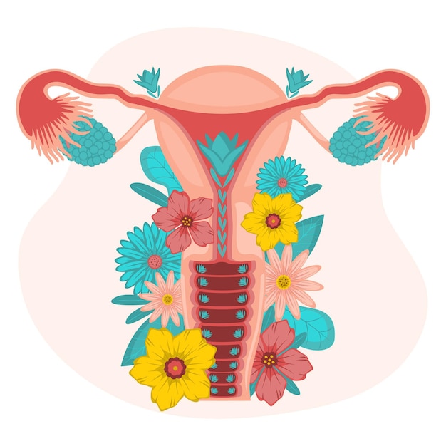 Bezpłatny wektor kwiatowy wzór żeńskiego układu rozrodczego