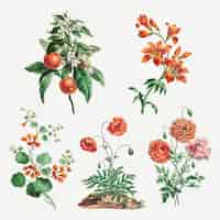 Bezpłatny wektor kwiatowy zestaw do nadruków w stylu vintage, zremiksowany z dzieł johna edwardsa