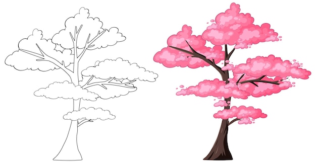 Bezpłatny wektor kwitnące drzewo od szkicu do koloru