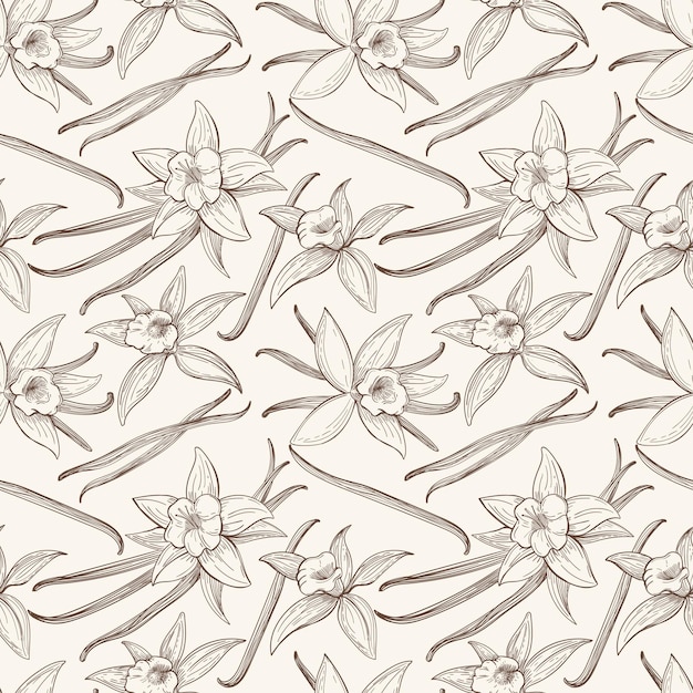 Laska wanilii i kwiat ręcznie rysowane wzór. Aromat kwiat wanilii