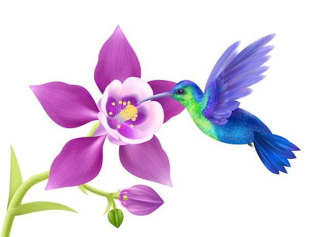 Latający koliber realistyczna koncepcja z piękną ilustracją wektorową kwiatów