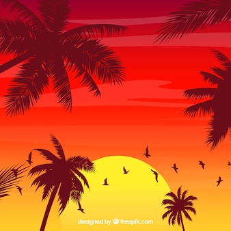 Lato tło z sylwetki drzewa palmowego