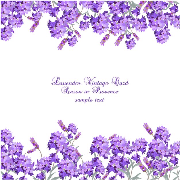 Lavender vintage karty