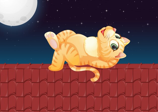 Leniwy kot na dachu