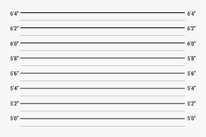 Bezpłatny wektor linie mugshot wysokości chriminal do weryfikacji przez policję