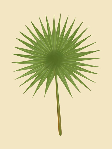 Liść palmowy tropikalny zielony fan