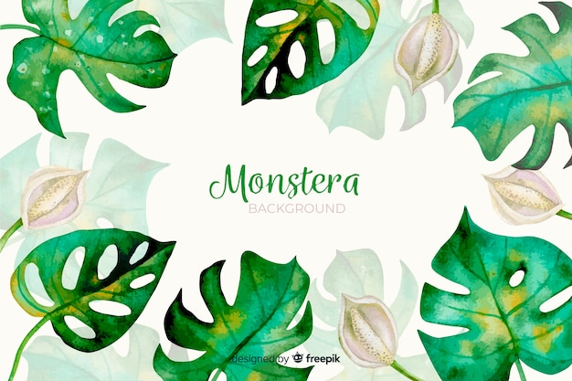 Liście Akwarela Monstera