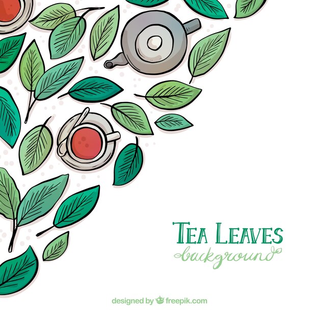 Bezpłatny wektor liście herbaty tło z ręcznie rysowane stylu