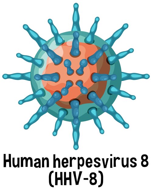 Ludzki Herpeswirus 8 Hhv 8 Z Tekstem