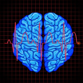 Ludzki Mózg I Wykres Mózgu Na Siatkach Premium Wektorów