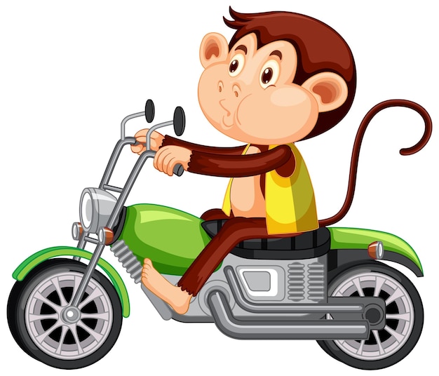 Bezpłatny wektor mała małpa jeździ motocyklem na białym tle