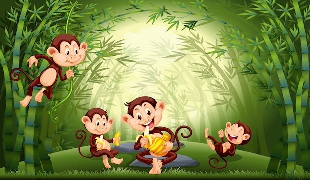 Bezpłatny wektor małpy w bambusowym lesie