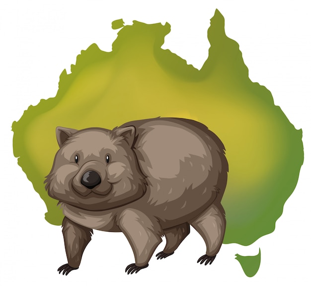 Bezpłatny wektor mapa wombat i australia