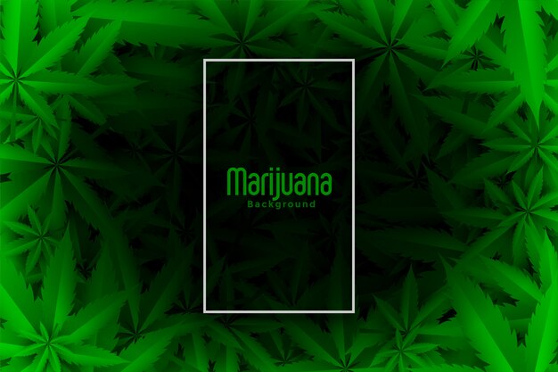 Marihuana lub marihuana zieleń opuszczają tło