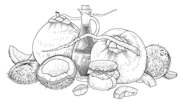 Mięso Całe Pół Skorupy I Olej Kokosowy Ręcznie Rysowane Wektor Retro Ilustracji