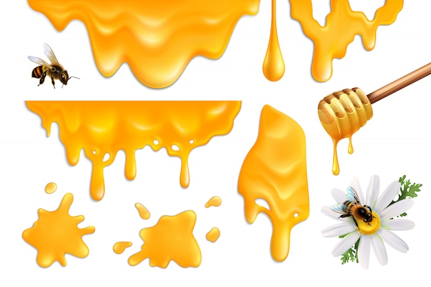 Bezpłatny wektor miód rozpryskuje i pszczoły kolorowy zestaw realistyczne ilustracja