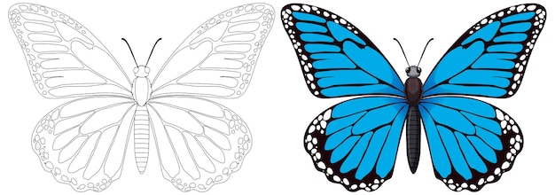 Bezpłatny wektor monochromatyczne i kolorowe ilustracje motyli