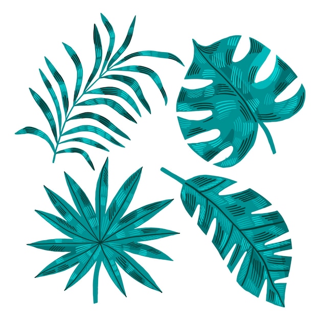 Monochromatyczne liście tropikalne