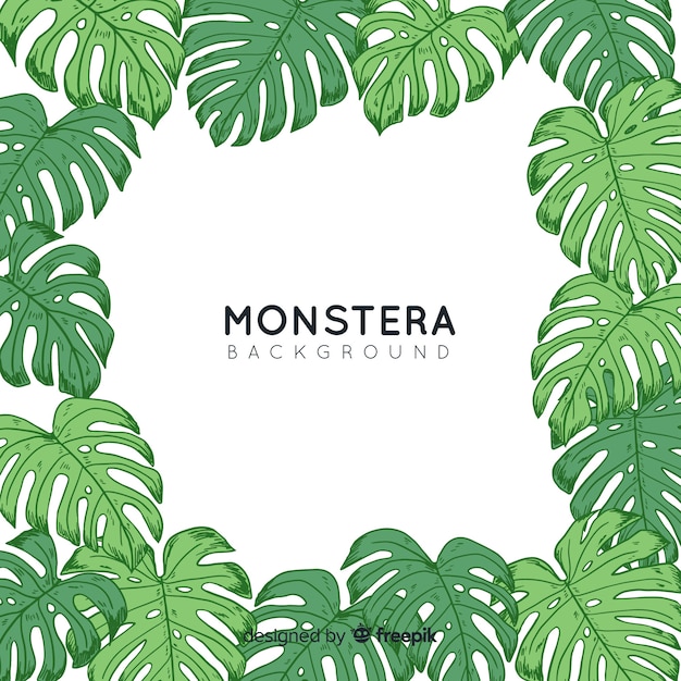 Monstera Opuszcza Tło Ramki