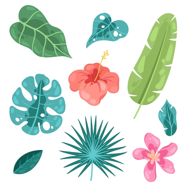 Bezpłatny wektor motyw paczki tropikalnych liści i kwiatów
