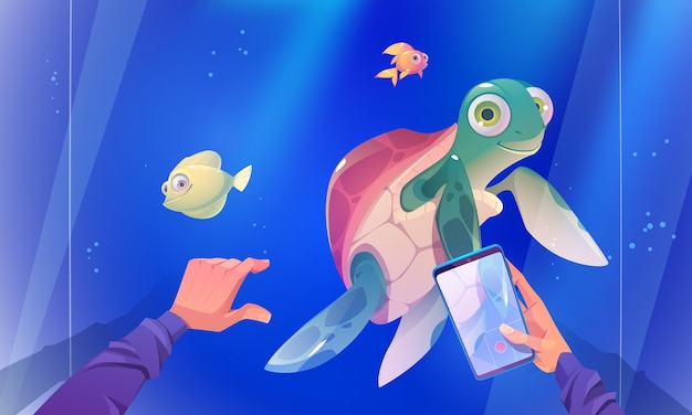 Bezpłatny wektor nagranie wideo przedstawiające pływanie żółwia w akwarium