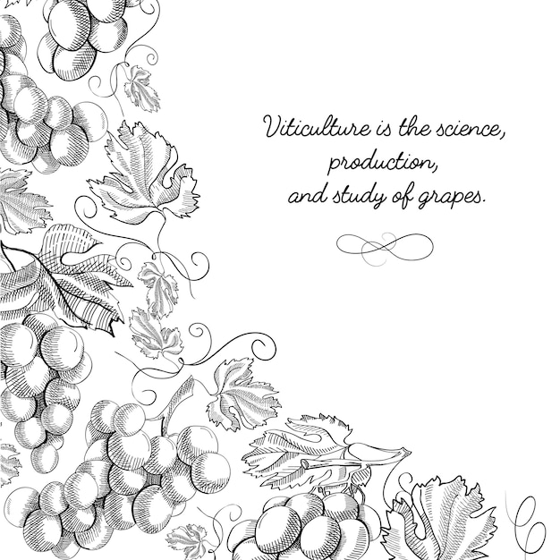 Narożna rama winieta przewiń ornament doodle winogrono foliowane obramowanie ręcznie rysowane szkic ilustracji