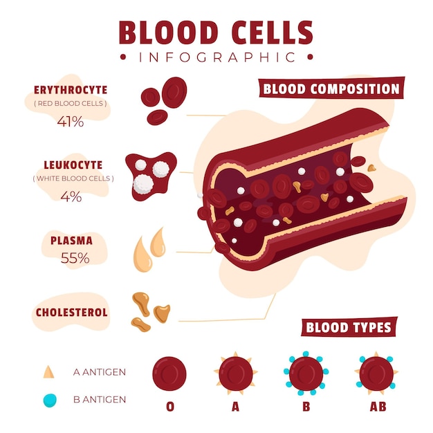 Bezpłatny wektor narysowana infografika krwi z ilustrowanymi elementami