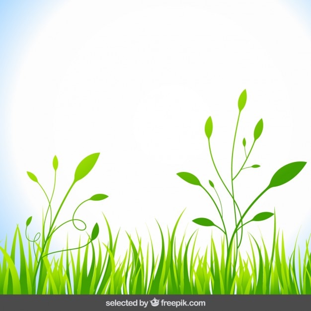 Bezpłatny wektor naturalne tło z zielonej trawie