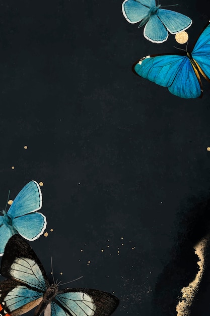 Niebieskie motyle wzorzyste na czarnym tle wektoru