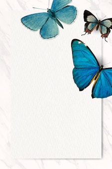 Niebieskie motyle wzorzyste tło wektor