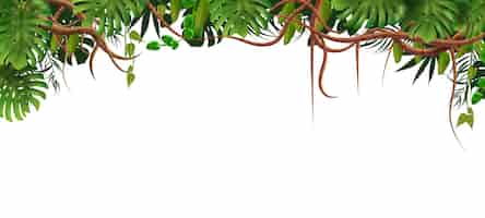 Bezpłatny wektor oddziały kompozycji tropikalnej dżungli z górną ramą egzotycznych liści i winorośli z pustą przestrzenią poniżej ilustracji wektorowych