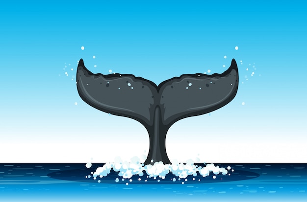 Ogon wieloryba w oceanie