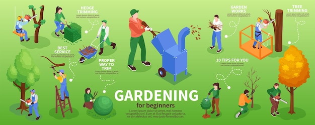 Bezpłatny wektor ogrodnicy infografika zestaw z symbolami przycinania żywopłotu izometryczny wektor ilustracja
