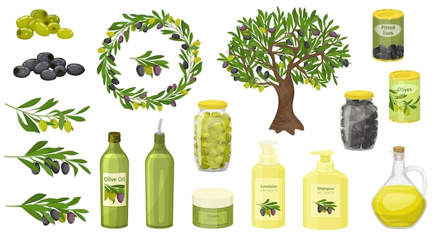 Oliwki płaski zestaw na białym tle ikon z dojrzałymi liśćmi drzew oliwki w puszkach butelek oleju i ilustracji wektorowych drzewa