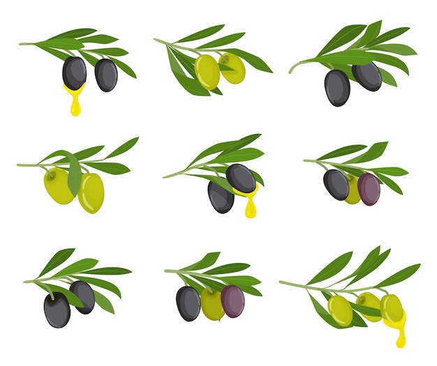 Bezpłatny wektor oliwki płaskie ikona zestaw czarne i zielone oliwki na gałęziach i olej na nich ilustracji wektorowych
