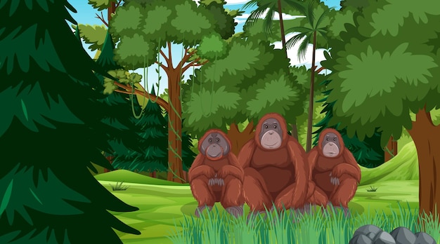 Orangutan w lesie lub w lesie deszczowym z wieloma drzewami