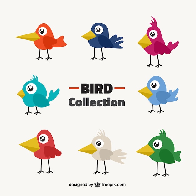 Bezpłatny wektor oryginalna kolekcja ptaków w kolorach